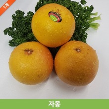 자몽 / 자몽 할인 구매 / 상콤한 과즙 신선한 과일 / 가락시장 직발송